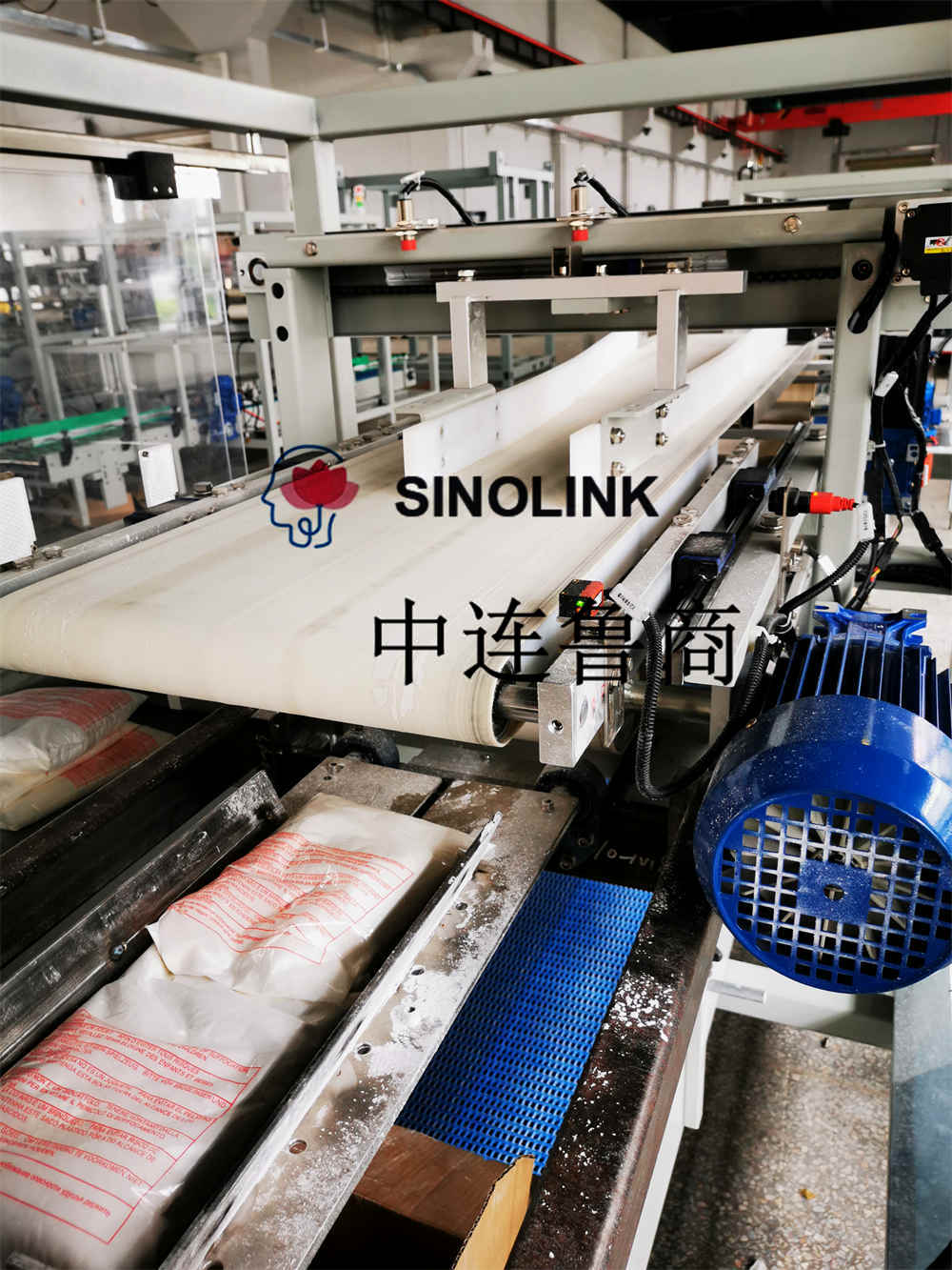 Packer Packer Packer Vollautomatischer Carton-Cargo-Packmaschine