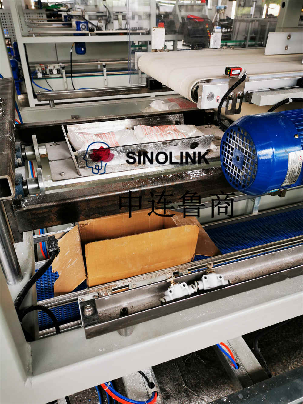 Packer Packer Packer Vollautomatischer Carton-Cargo-Packmaschine