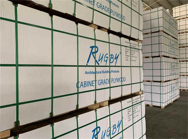 Hot Sales Kunststoff-Verpackungsband aus transparentem PP Hot Sales Plastic Clear PP Packaging Strap