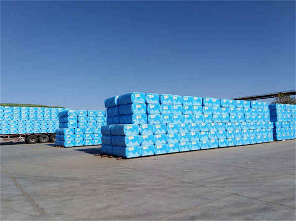 Umreifungsmaschine mit PP-Verpackungsband Strapping Machine Using PP Packing Tape